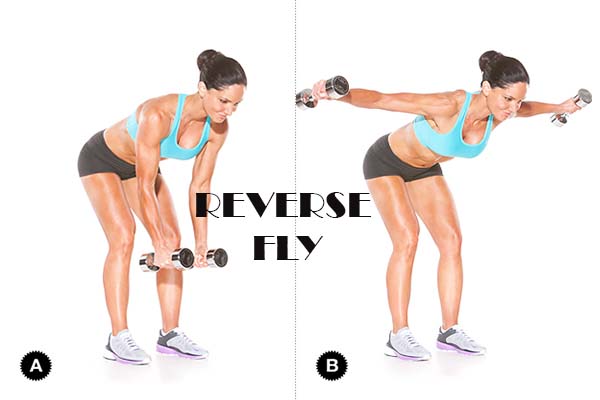 waist trainer exercises- reverse fly workout