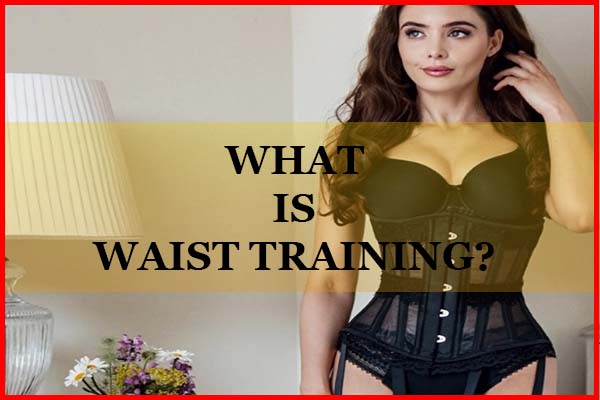 What Is Best Waist Training