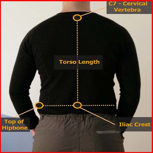 Determine measure your torso length